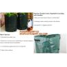 Buy cheap Garden grow bag potato grow bag murphy bag PE fabric,40 / 50 / 100 / 200/300gallon durable heavy duty potato grow bag from wholesalers