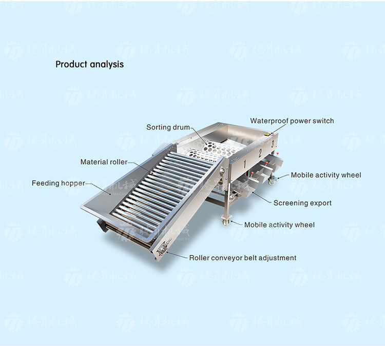 2.5KW Vegetable Fruit Sorting Machine Roller Barrel Grading equipment