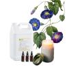 Buy cheap Concentrated Fragrance Floral Scented Oils For Candle Fragrance Oils from wholesalers