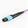 Buy cheap Purple OM4 purple mpo mtp to LC fiber optic patch cord Fanout 12 cores from wholesalers