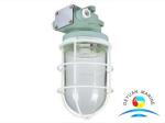 DS7 Series Marine Electric Equipment Work Light Ceiling Type 220V
