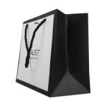 Customized Size Ivory Board Paper Shopping Bags with Your Personalized Design