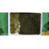 Buy cheap Green Tea Black Tea Puer Tea Color Sorter Machine With Rgb Ccd Optical Camera from wholesalers