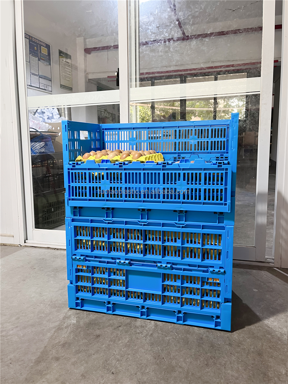 Customized Logo Blue Egg Storage Box Refrigerator for Modern Chicken Grid Drawer Type