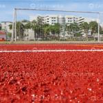 IAAF Certificated Athletic Track Installation EPDM Granules Materials for