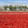 Buy cheap Professional Grade Wet Pour Rubber Granules Rubber Track System for Sports rehabilitation centers / Elite athlete training facilities from wholesalers