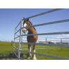 Buy cheap Welded Metal 40x40mm Tube Heavy Duty Cattle Panel 2.1m Width from wholesalers