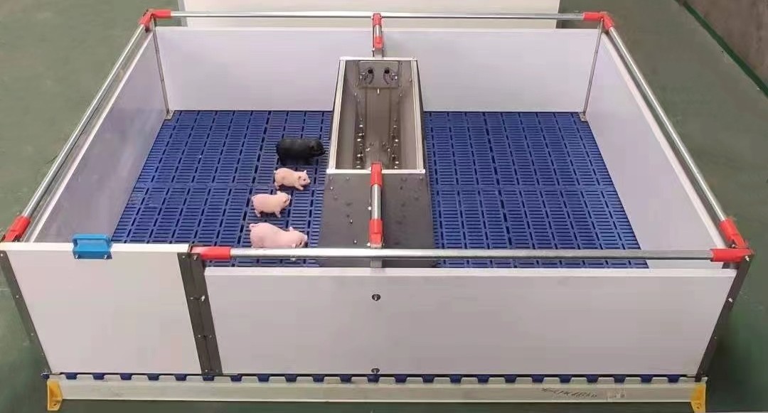 PVC Panel Pigs Nursery Crate Weaning Pens With Plastic Slatted Floor