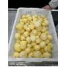 Buy cheap Sweet Potato Peeling and Washing Machine for Commercial Voltage 220v/380v/Customized from wholesalers