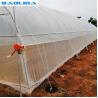 Buy cheap Wind Resistance Plastic Film Greenhouse with 90% Light Transmittance from wholesalers
