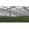 Buy cheap Plastic Film Tomato Plant Greenhouse Span Width 9.6 / 10.8 / 12m Easy Assemble from wholesalers