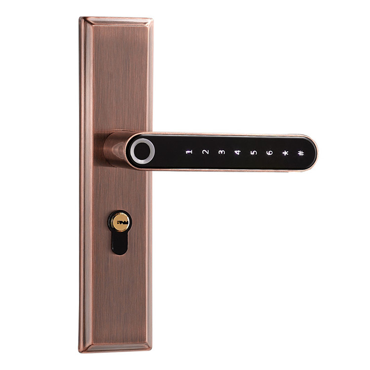 F3 Smart Fingerprint Locks