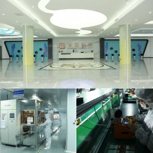 HuaXin Technology  CO.,LTD