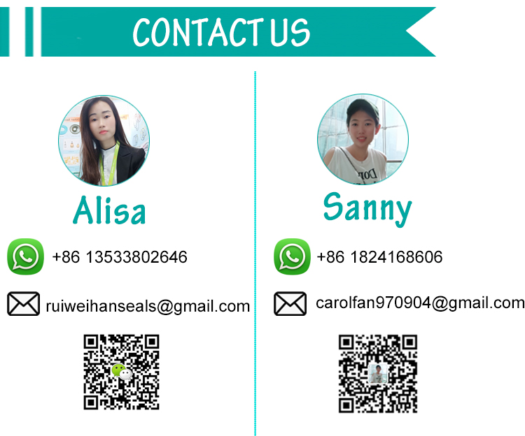 Customized Excavator Hydraulic Cylinder Seal DSI Spgw Piston Seal