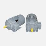 750r-3000r Rated Speed Permanent Magnet Synchronous Motor For Industrial