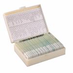 Buy cheap Homeschool Teaching 30pcs Human Tissue Microscope Slides On Basic Science from wholesalers