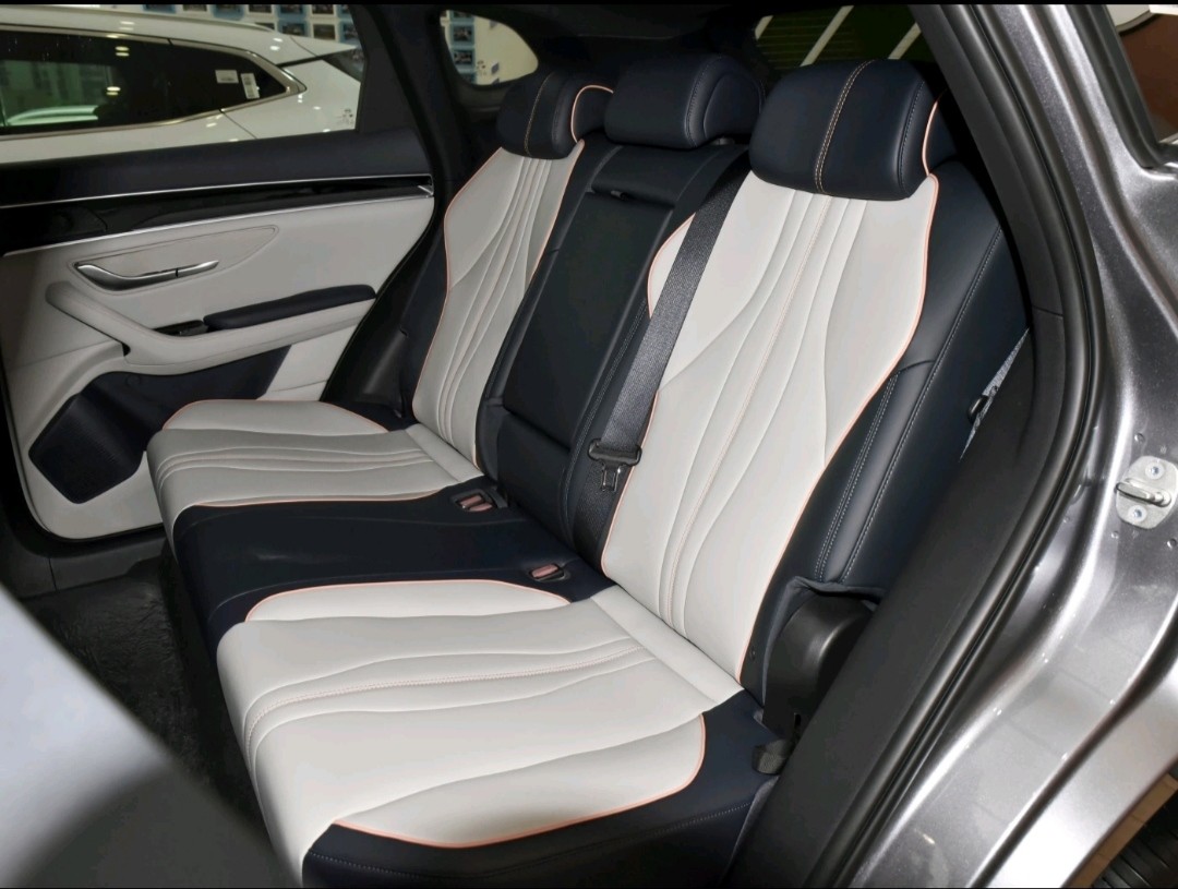 BYD Song Plus EV 2021 Flagship Version Compact SUV EV 100 Km Acceleration 8.8S