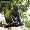 Buy cheap Human sized forest metal animal decoration bronze monkey statue from wholesalers