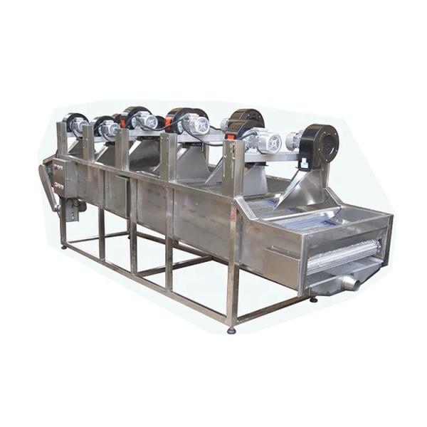 Buy cheap 1000kg/H Automatic Potato Chips French Fries Dryer Machine For Food Beverage from wholesalers