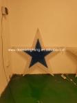 large outdoor christmas star light