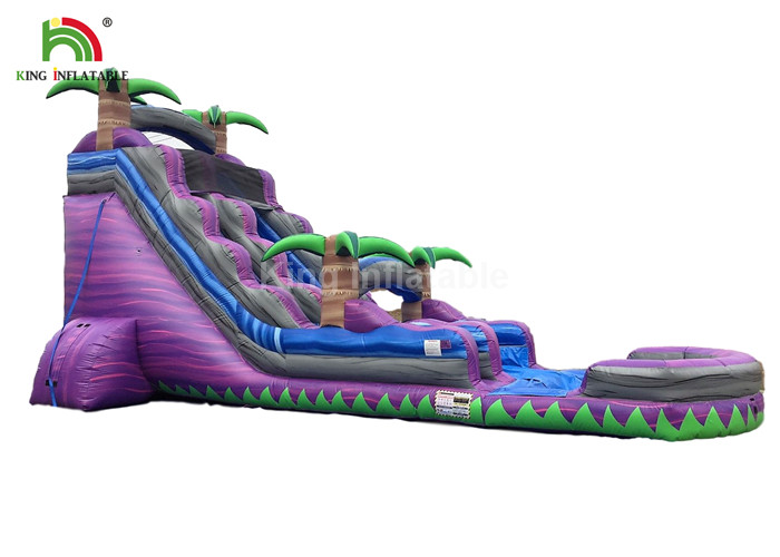 Dual Lane 0.6mm PVC Inflatable Water Slide With Pool 30ft Purple For Summer