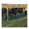 Buy cheap Length 10-200m Agriculture Field Livestock Wire Fence with Durable Fixed Knot Design from wholesalers