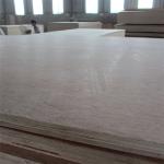 Apartment Birch Core 15mm Bintangor Plywood