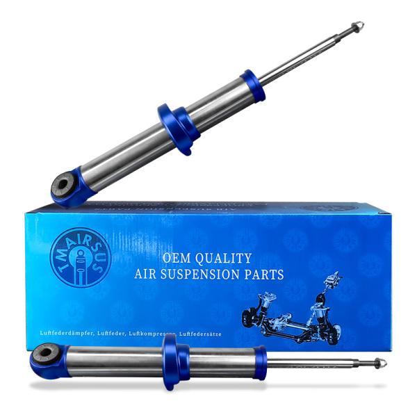 Buy cheap Ford F150 SVT Raptor STX XLT Air Suspension Shock Absorber OEM ASH-85975 from wholesalers
