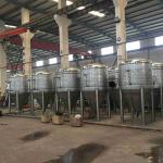 PLC Control Professional Brewing Equipment 1000L Home Beer Brewing System