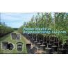 Buy cheap Fast Growth plastic nursery air pruning pot for plant tree and flower,indoor nursery mini plastic flower pot, gardening from wholesalers