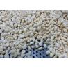 Buy cheap Vacuum Peeled Garlic Cloves from wholesalers