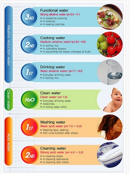 Portable Alkaline Water Ionizer With 5 / 3 Electrode Plates