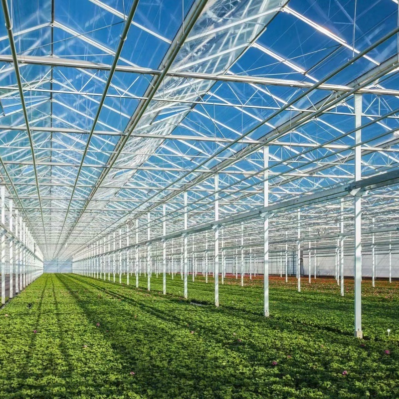 Venlo Glass Greenhouse Hydroponics System with Drip Irrigation