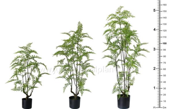 Buy cheap OEM ODM Plastic Fern Plants 100% Botanically Accurate Structure Waterproof from wholesalers