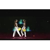 Buy cheap Product Launch 3D Holographic Display 3d Holo Display Transparent product