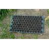 Buy cheap 50 cells Plastic blister thermoforming vacuum PVC flower tree seedlings containers from wholesalers