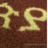 Buy cheap SGS 83*150cm Custom Logo Mats Advertising Promotional Welcome Mats For Business from wholesalers