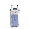 Buy cheap Cryolipolysis 4 handle cryotherapy handles fat freezing liposuction 2 handpiece cryolipolysis machine from wholesalers
