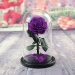 Preserved Flower Eternal Rose in Glass Long Lasting Flowers Home Decoration
