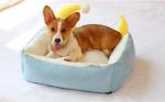 Buy cheap Eco - Friendly Comfort Pet Beds , Cute Pet Beds Fashionable 3 Colors Available from wholesalers