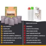 OEM LOGO Activated Bamboo Charcoal Air Purifying Bag Odor Absorber 10x100g with