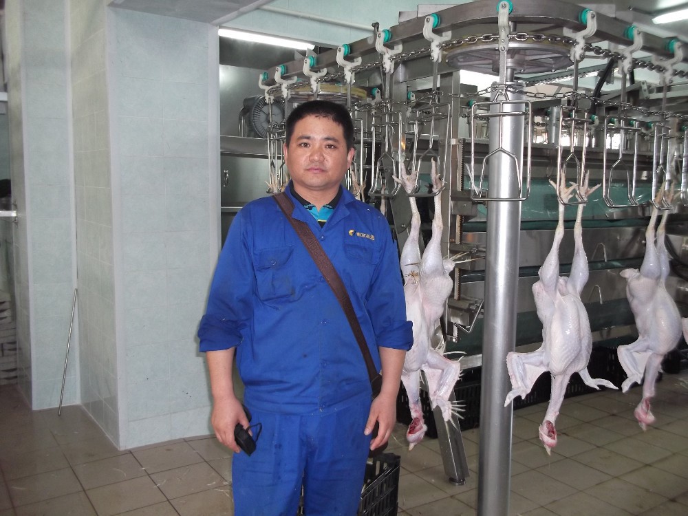 Automatic Poultry Farm Machinery Duck Turkey Chicken Slaughter Bleeding Equipment
