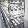 Buy cheap Strawberry NFT Hydroponics System Soilless Growing PVC Pipe / Channel For Lettuce from wholesalers