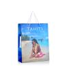 Buy cheap TAHITI Branded Paper Bags Embossing Promotion Gift Bags With PP Handle from wholesalers