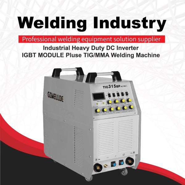 Inverter based TIG/ARC welding 60Hz Portable Welding Machine for Home Use