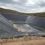 Industrial Waterproof Geomembrane HDPE Liner for Shrimp Farming Glossy Black