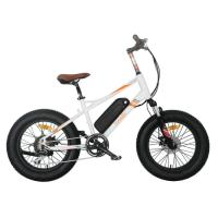 Buy cheap Kids Full Suspension Fat Tire Electric Bike Lithium Battery 7 Speed Gear product