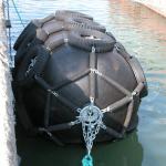 Buy cheap EU 50Kpa Yokohama Fender for Gas Carriers High Performance Marine Buffer from wholesalers