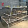 Buy cheap A Type Broiler Battery Cage Galvanized High Strength Poultry Broiler Cage Iris from wholesalers
