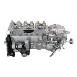 Fuel Pump and Fuel Transfer Pump B6AD298K6 BH6AD100R for Kofo Recardo Engine